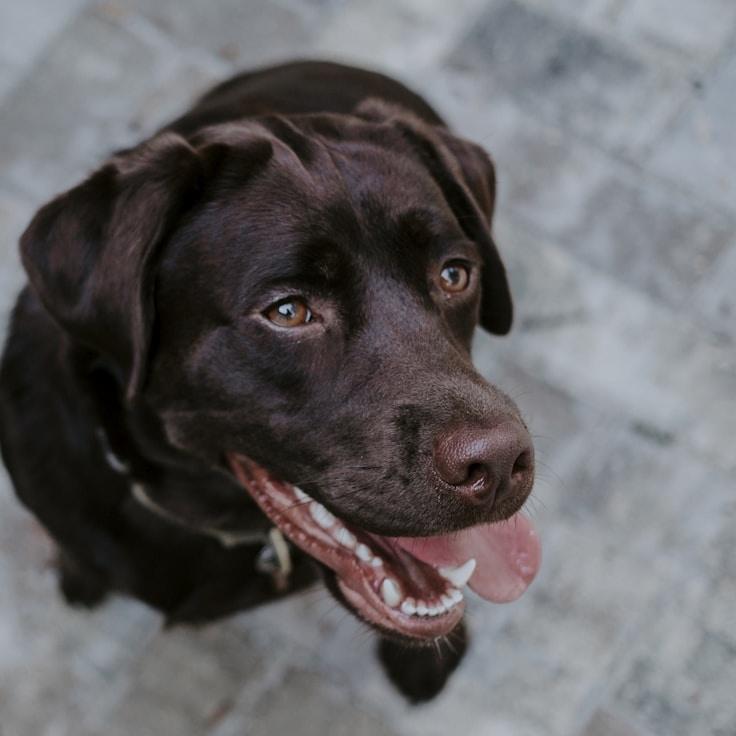 Sophie van den Berg - Founder of Moss Saline Plume